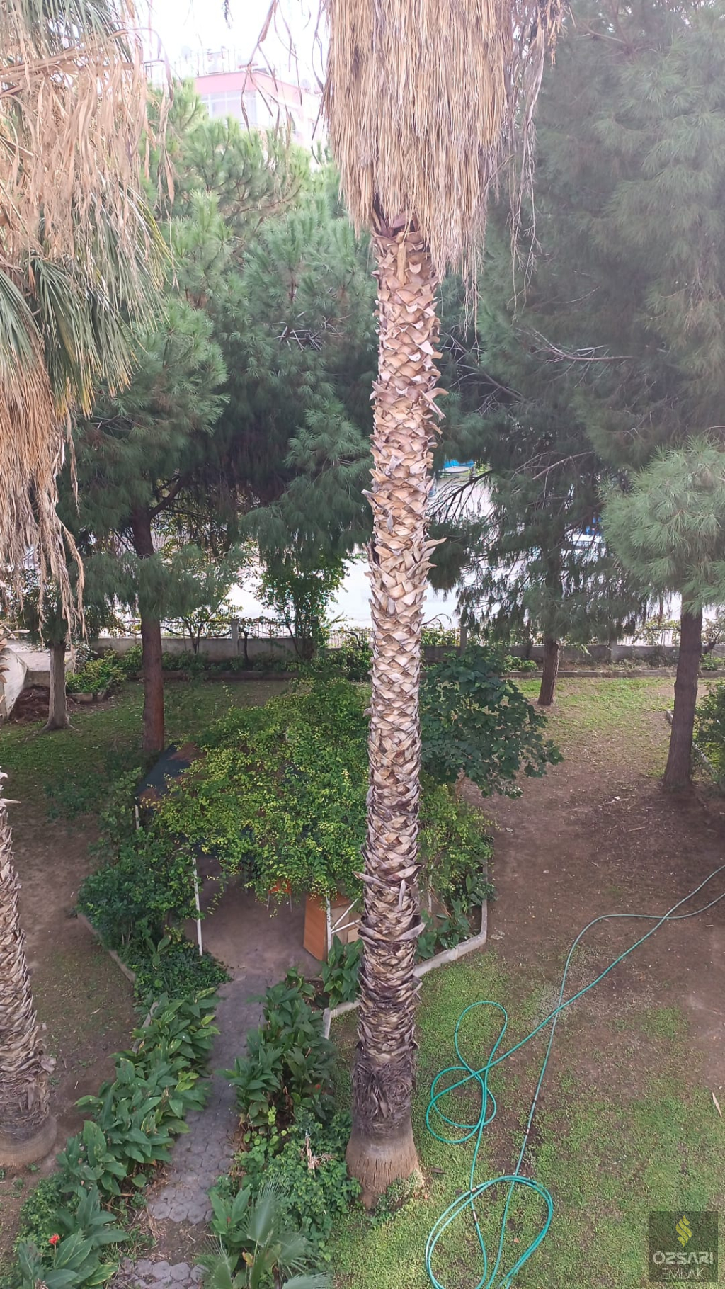 Bornova Osmangazi 3+1 Kiralık Daire