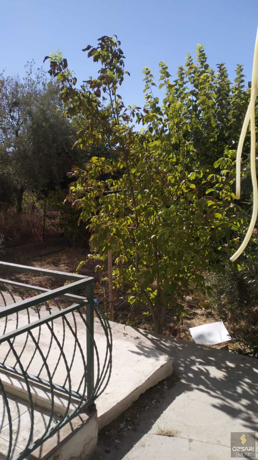 Bornova Atatürk mah. 3+1 Bahçe katı 3cephe Satılık Daire