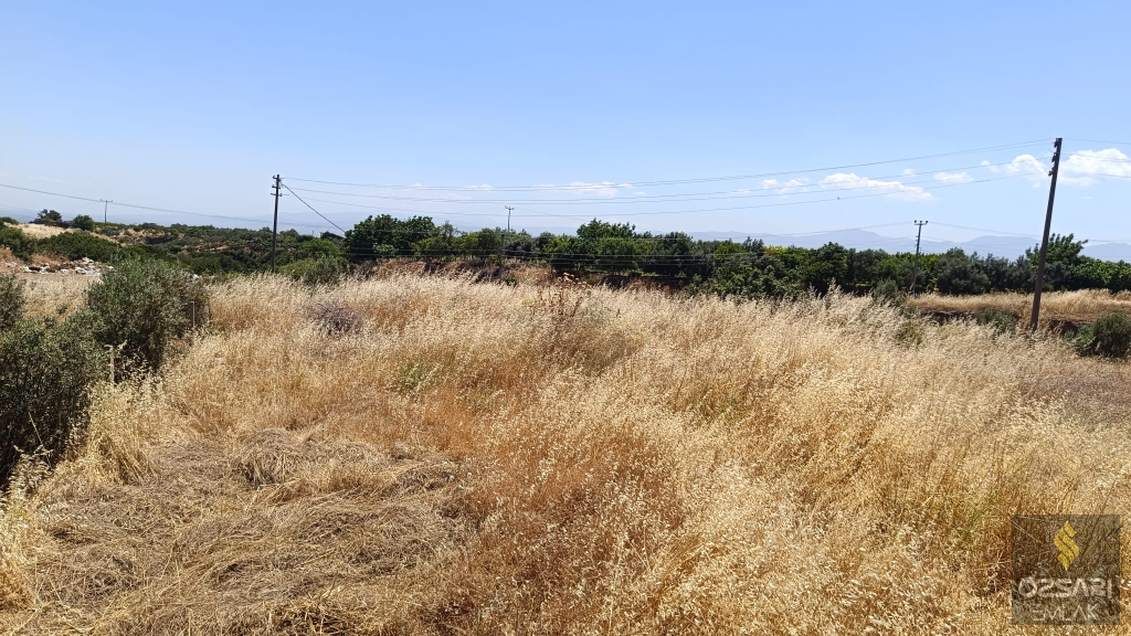 BOZKÖY SANCAKLI KÖYÜNDE BAĞIMSIZ PARSEL SATILIK ARSA